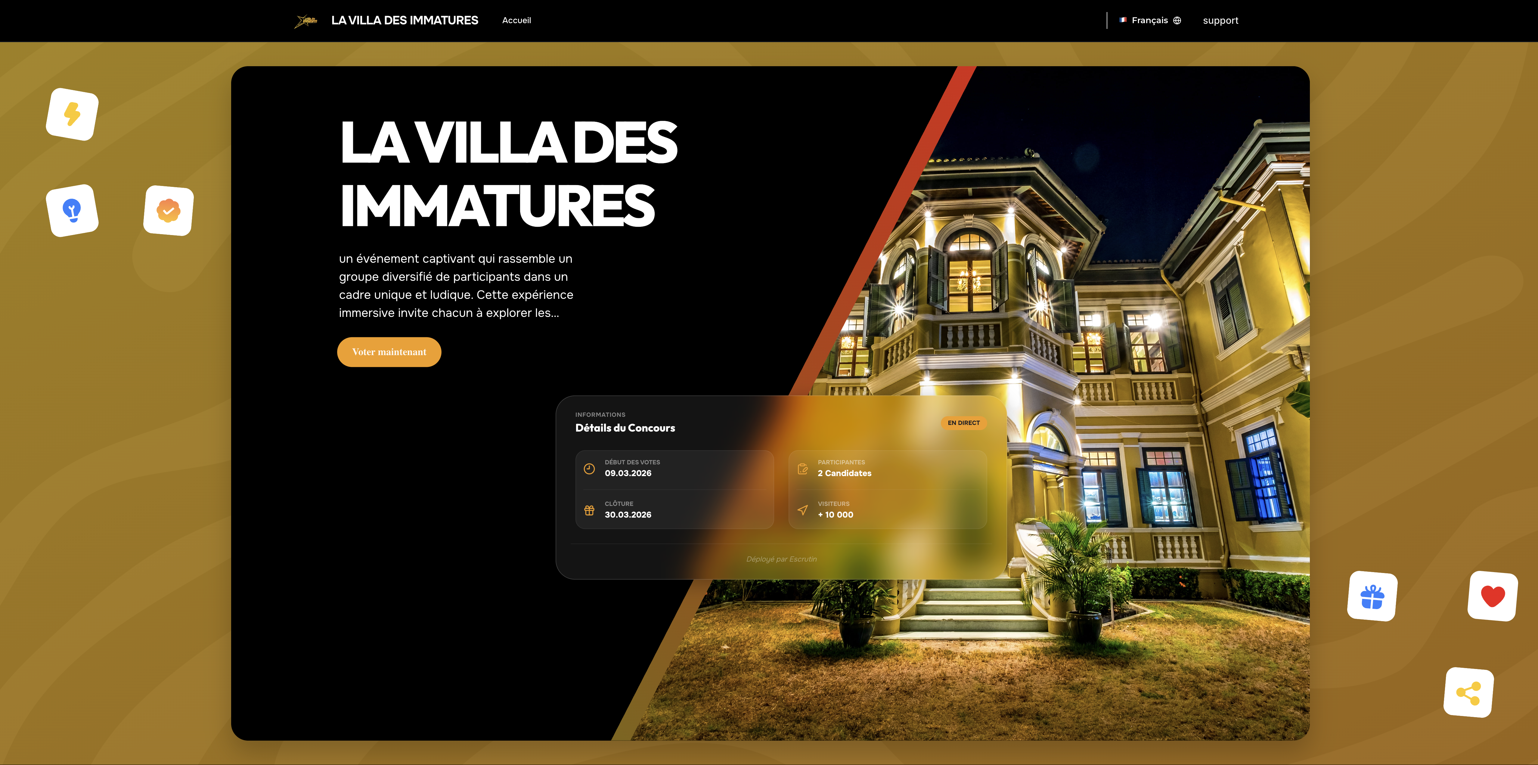 Project Preview